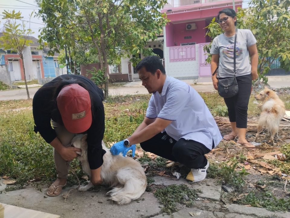 Cegah Rabies, Diskanak Kabupaten Bogor Suntikan 3.000 Dosis Vaksin Rabies Secara Gratis 