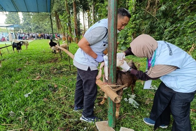 Dinas Perikanan Dan Peternakan Kabupaten Bogor  Melaksanakan Pengawasan Dan Pemeriksaan Hewan Dan Daging Kurban Idul Adha 1446 H / 2025