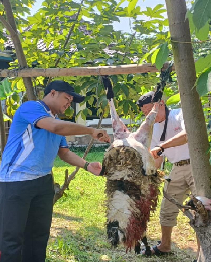 Rayakan Idul Adha 1446 Hijriah, DPD KNPI Kabupaten Bogor Sembelih Tiga Hewan Kurban