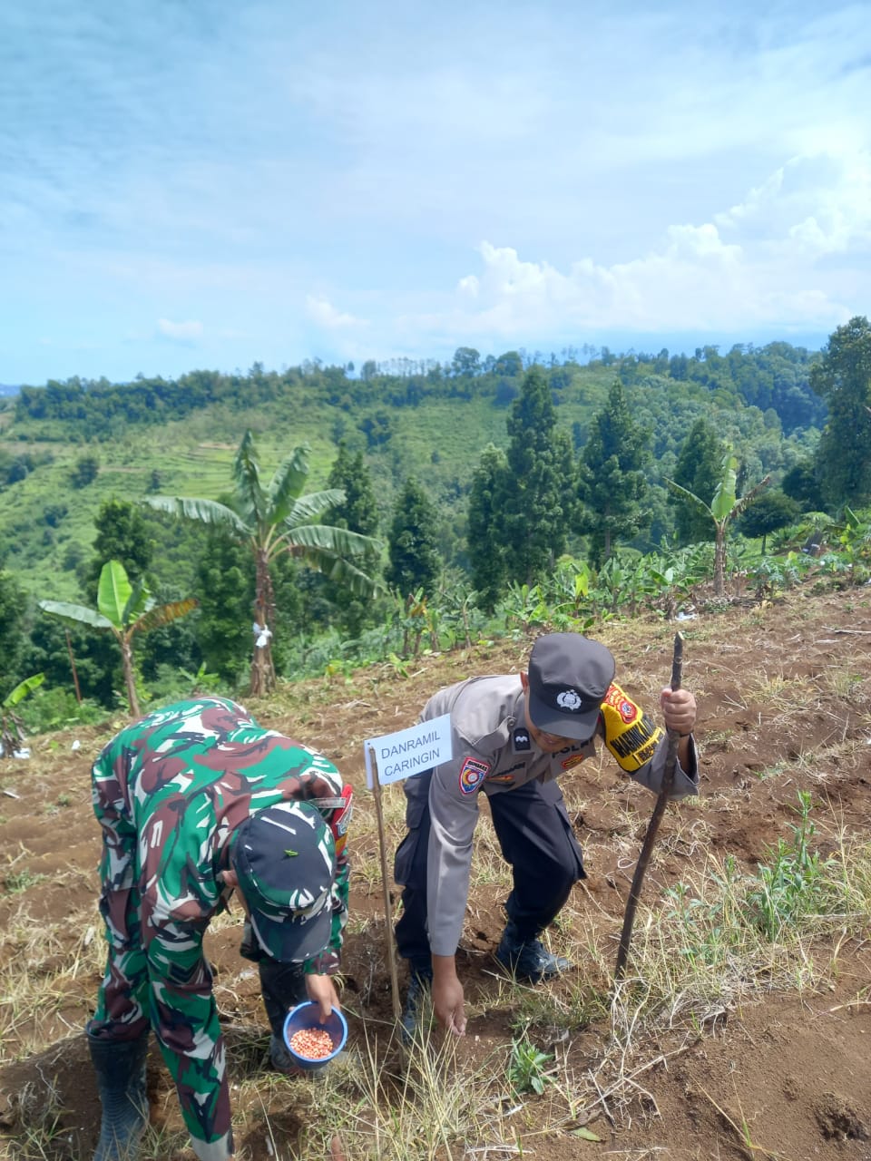 Dukung Program Nasional Swasembada Pangan, Polsek Caringin Gencar Lakukan Penanaman Jagung Hybrida